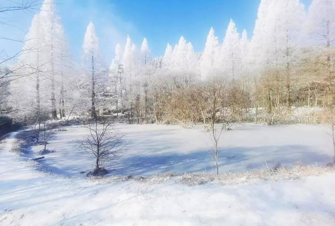 神秘的岛屿