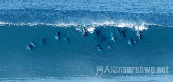 曹雪芹是哪国人？游戏画面